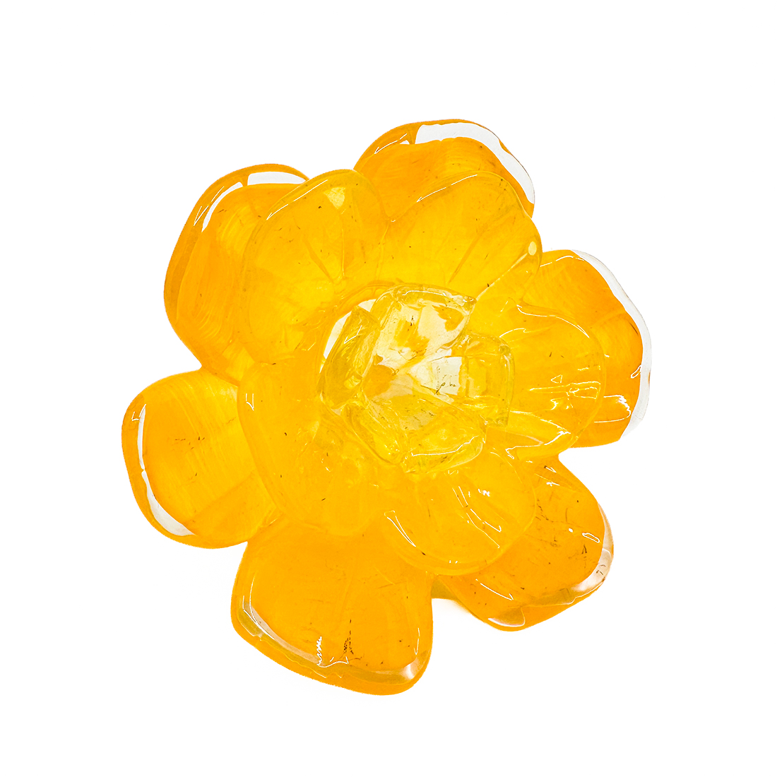 Glass Marigold - Davĩd Rios