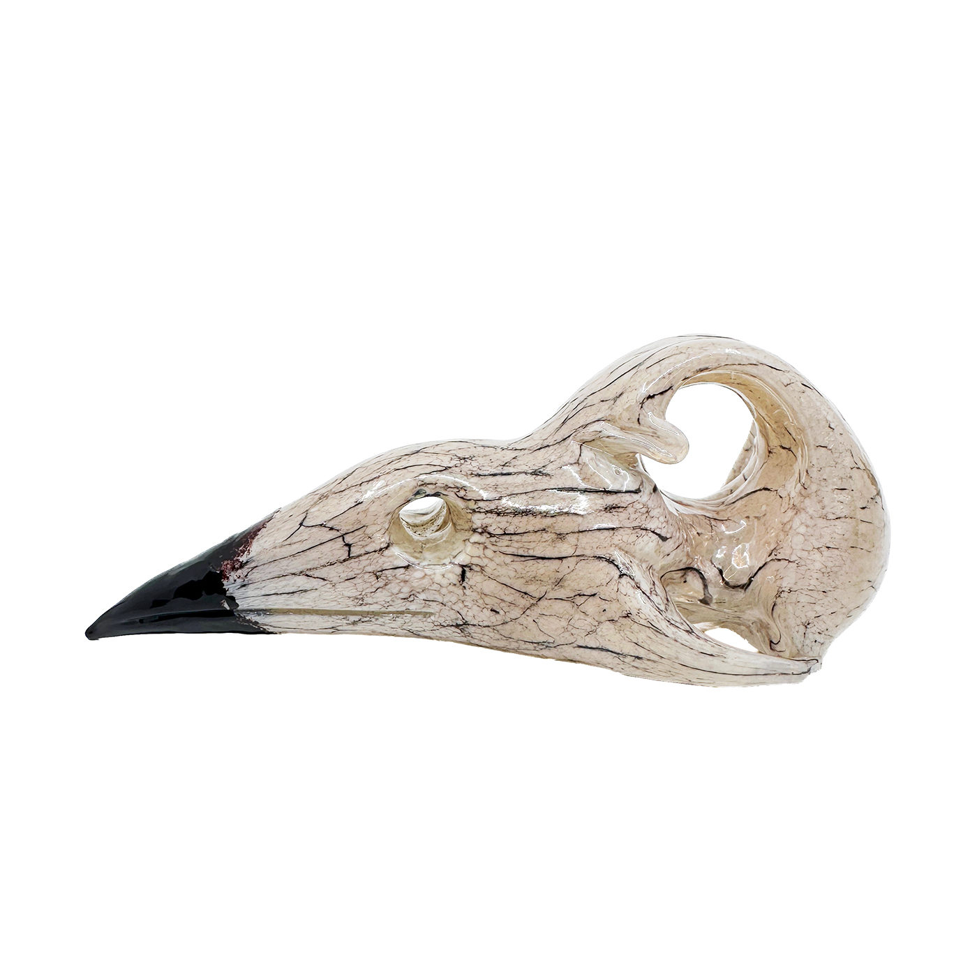 Glass Bird Skull - Tim Spurchise