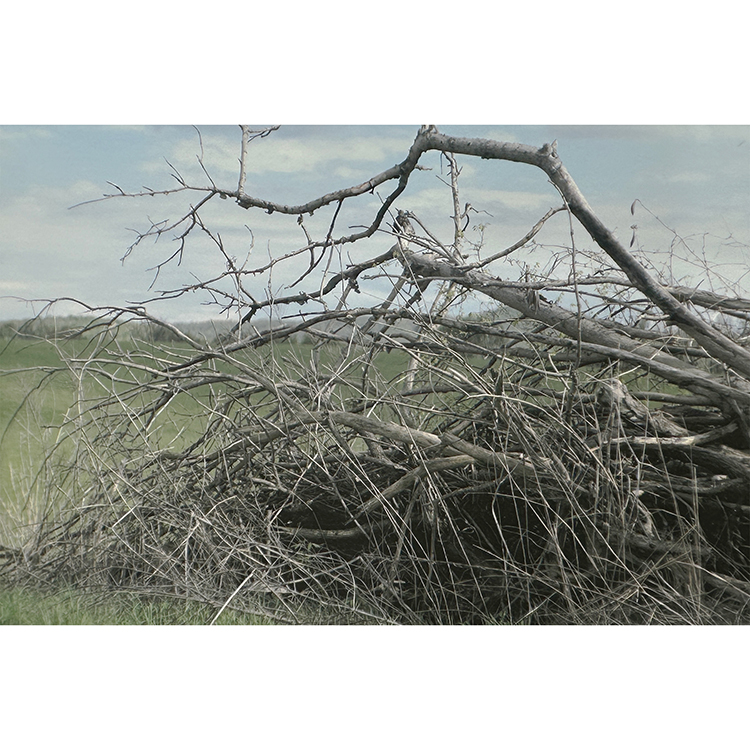 "April in the Field" Photograph - William Springer
