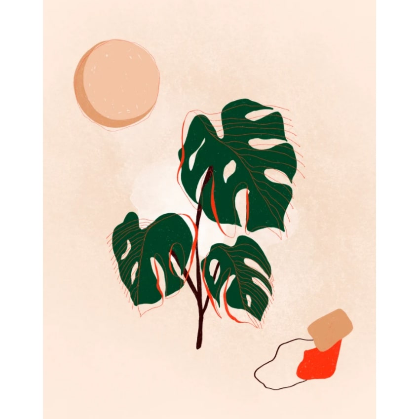 Maile Lani - Monstera Print