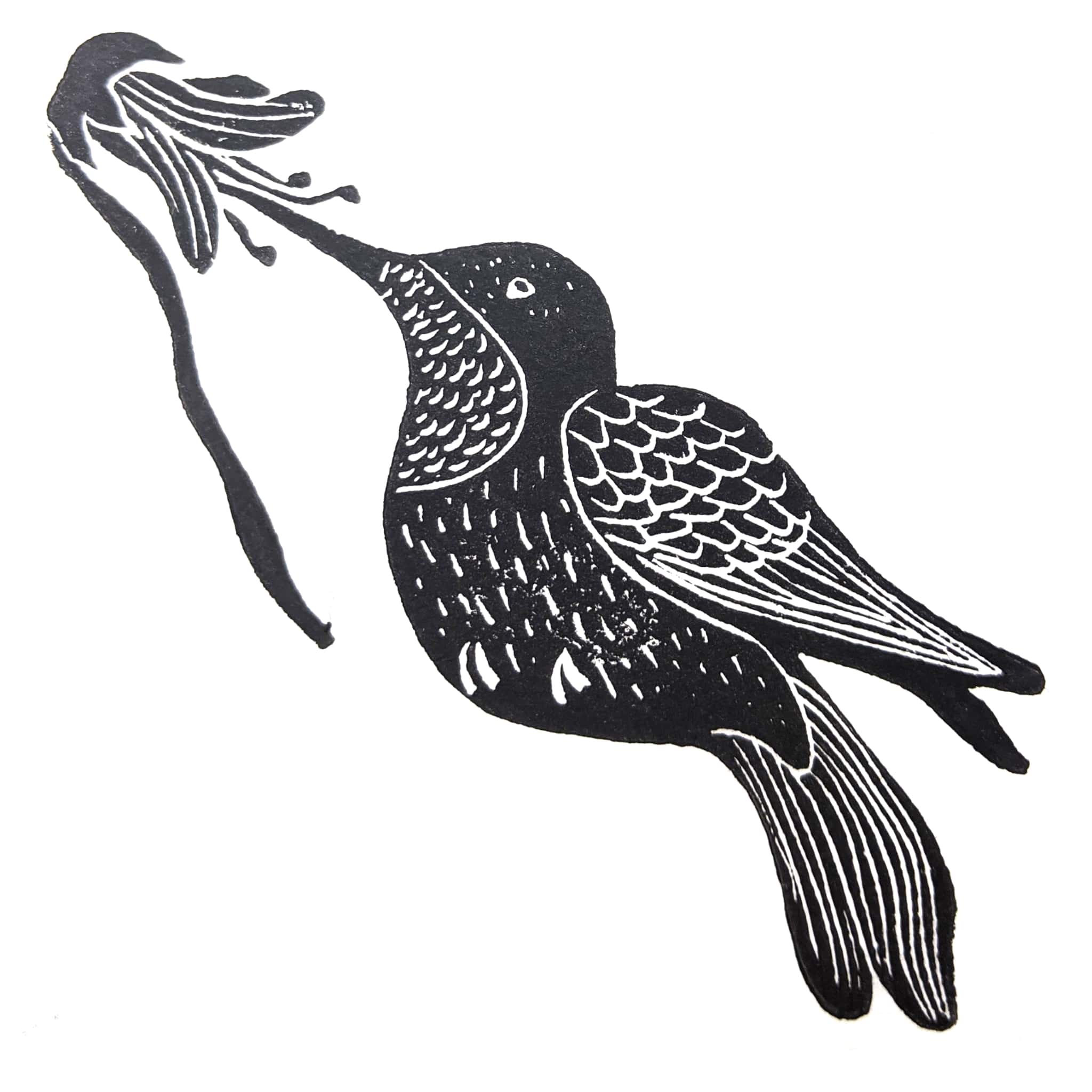 Downy Woodpecker fine art linoleum block letterpress print – Moon Rabbit  Press