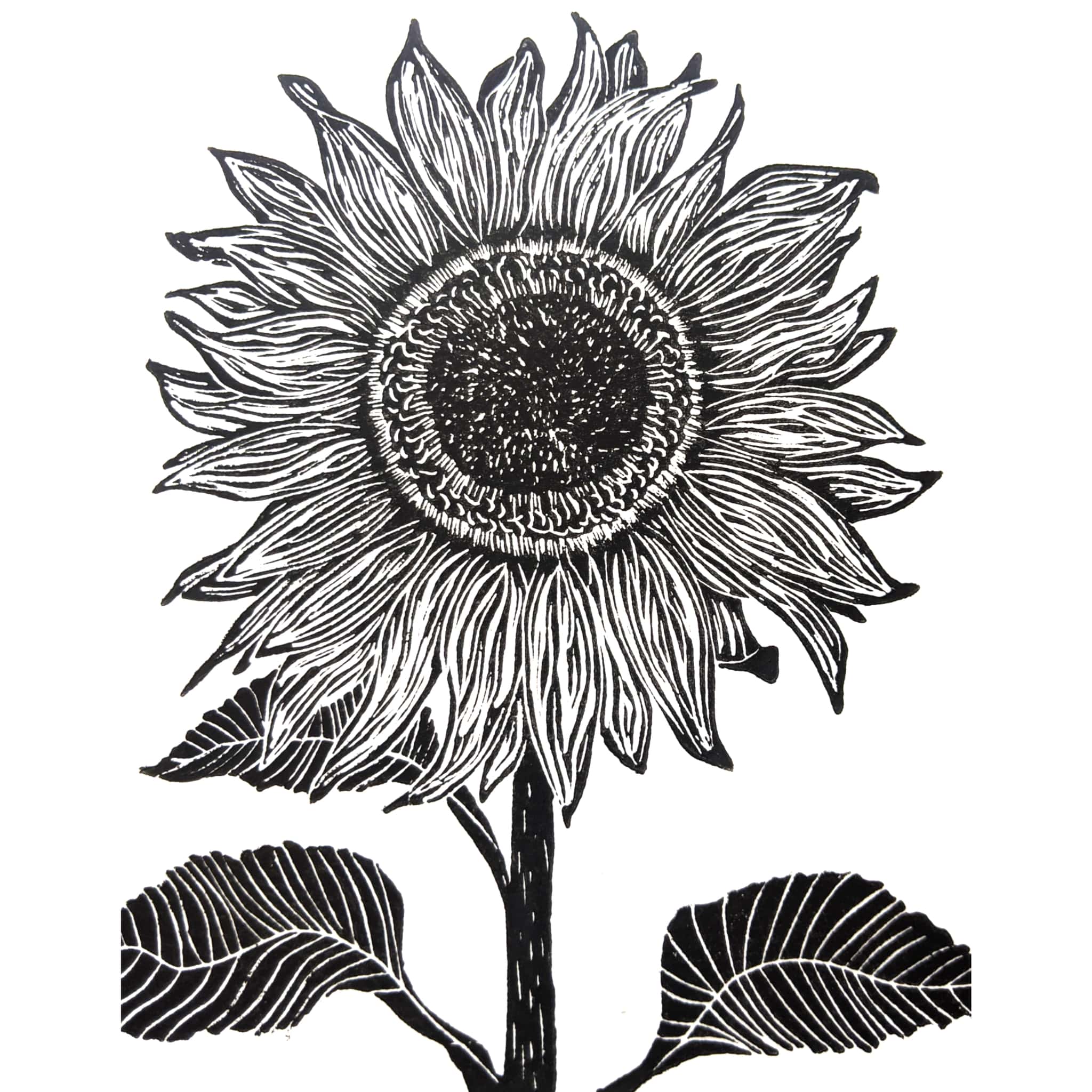 Maple Moon Designs - Sunflower Lino Block Print