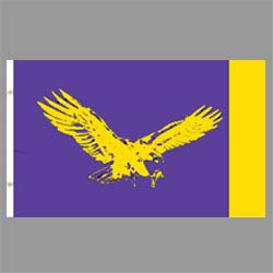 Flag: 3' x 5' TTU Flag